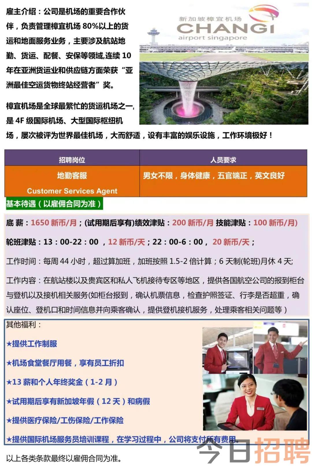 新加坡招聘网最新职位发布，开启职业新征程！