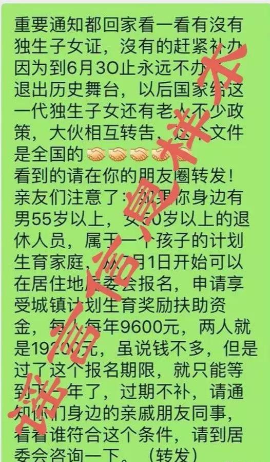 独生子女证最新政策深度解析，观点阐述与分析