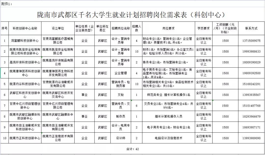 武都最新招聘盛景，时代背景下的招聘热潮