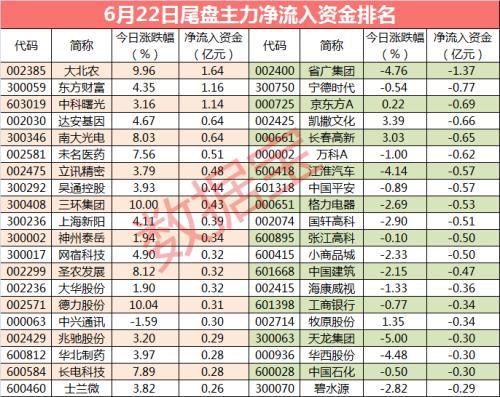 美尚生态最新动态，绿色发展前沿进展与未来展望